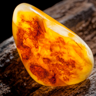 Egyptian Amber
